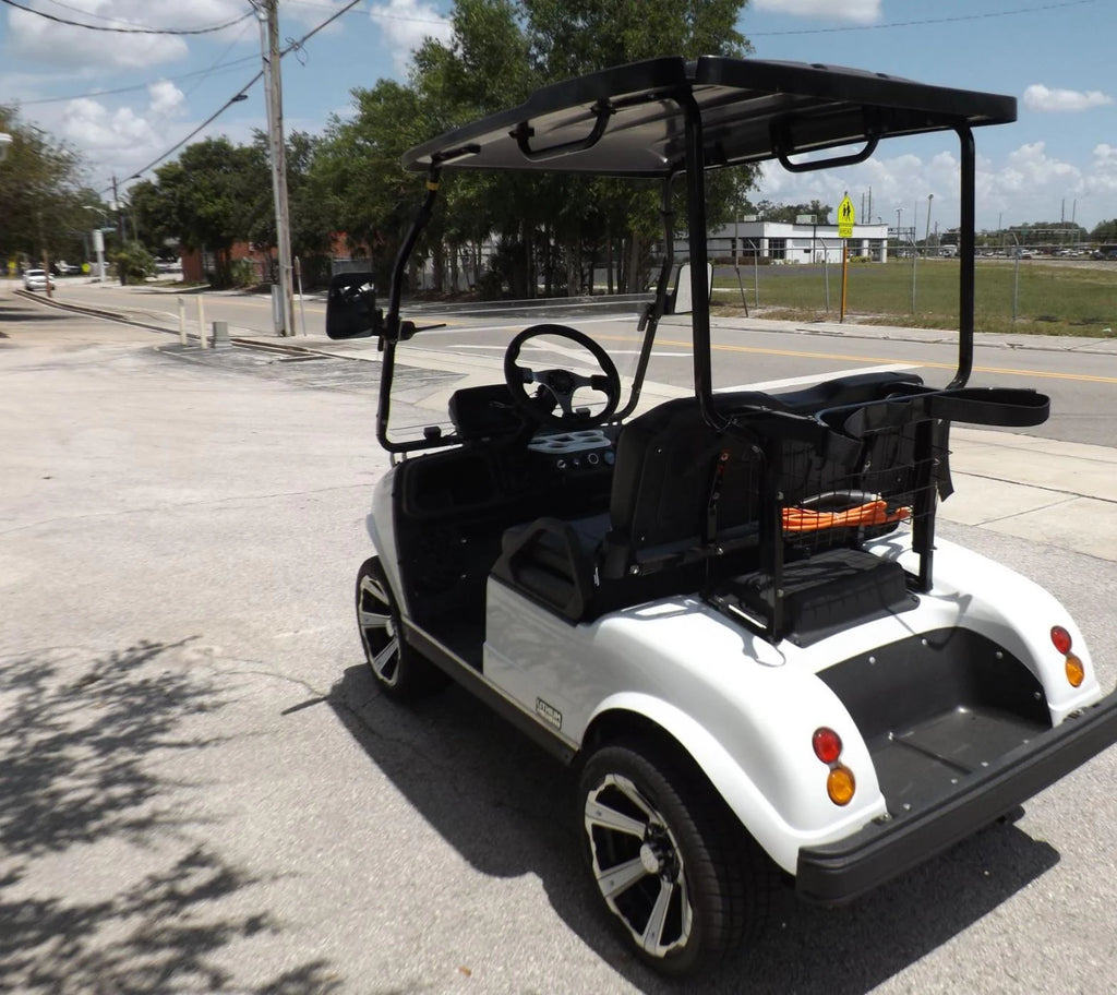 2025 Evolution Classic 2 Plus Electric Golf Cart for Sale