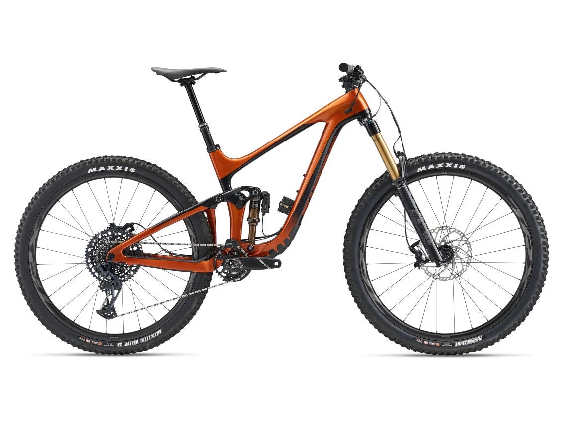 2025 Giant Reign Advanced Pro 29 1